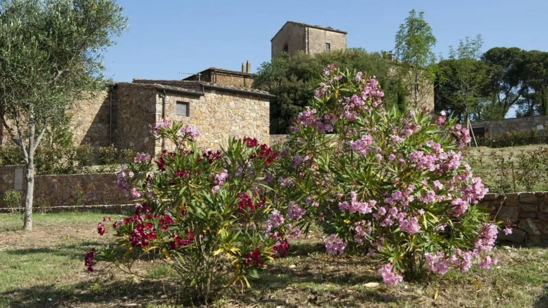Superior Drei-Zimmer-Wohnung Mit Garten Und Pavillon Campiglia Marittima 0*,  Italy