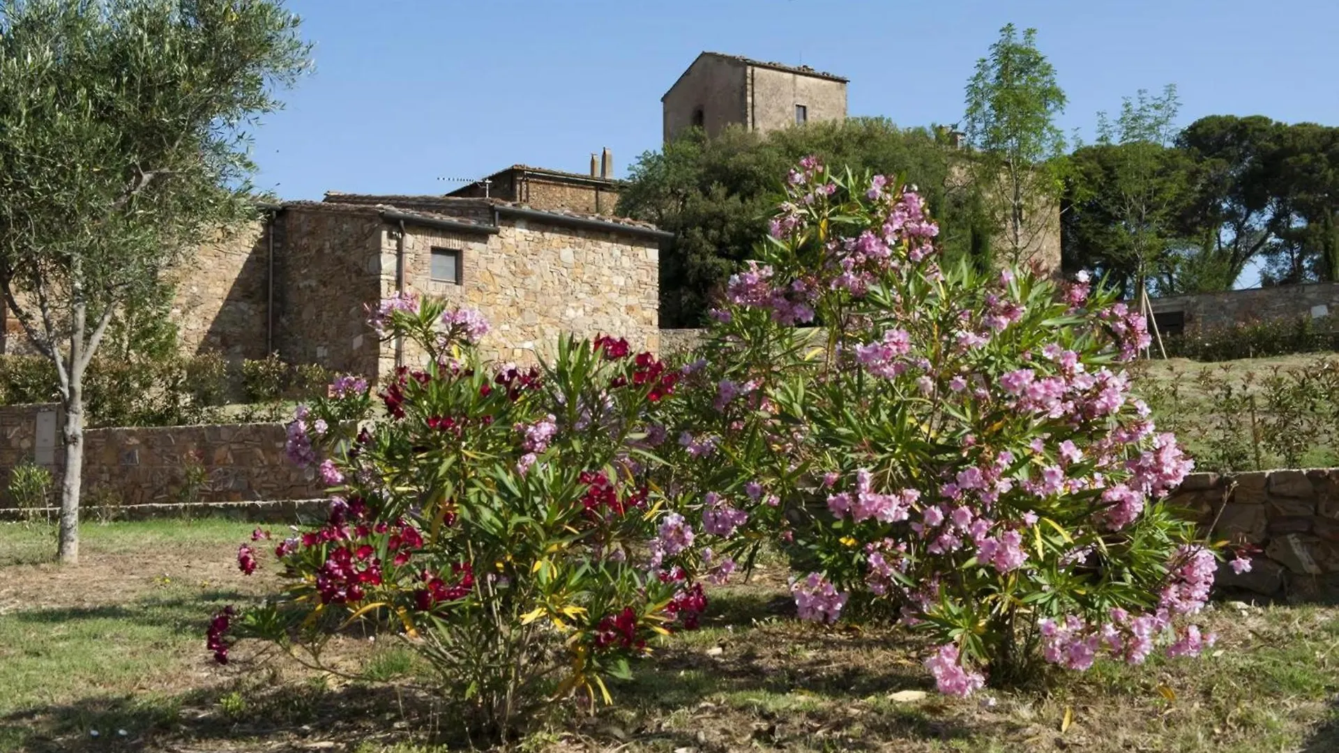 Superior Drei-Zimmer-Wohnung Mit Garten Und Pavillon Campiglia Marittima